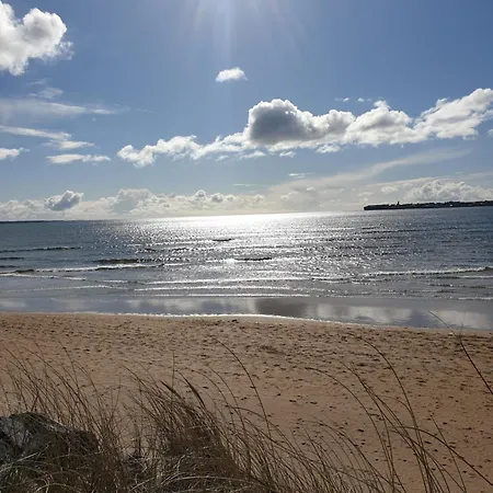 Blue Ocean Guest Doolin