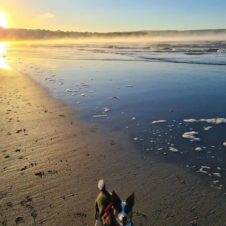 Blue Ocean Guest 4* Doolin