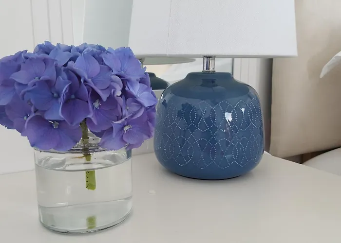 Blue Ocean Guest Couette-café Doolin