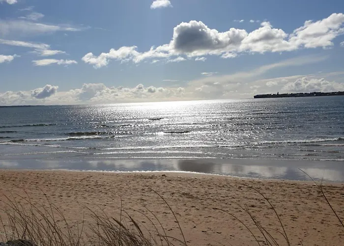 Blue Ocean Guest Doolin