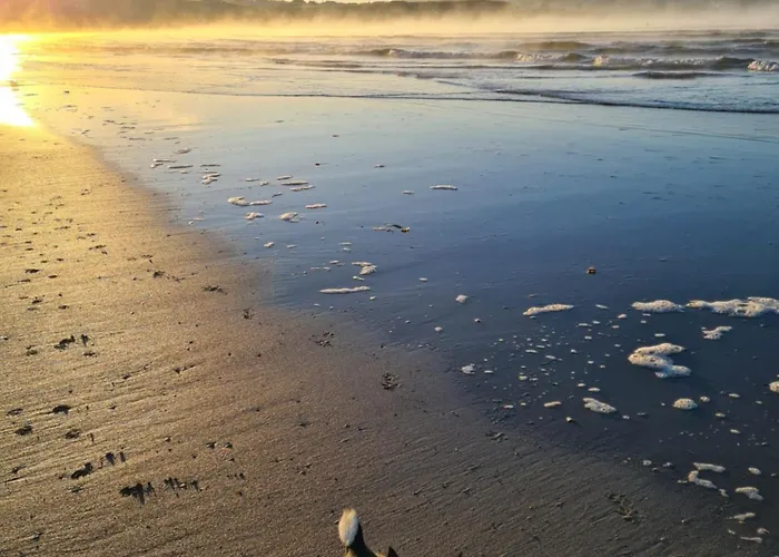 Blue Ocean Guest 4* Doolin